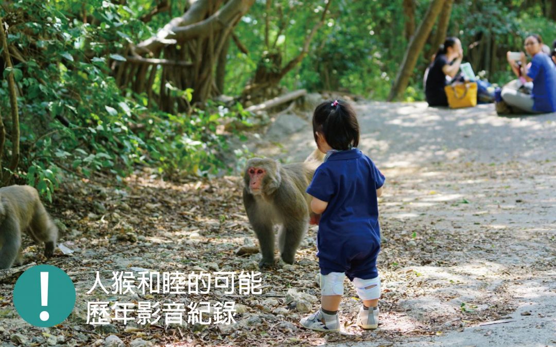 人猴和睦的可能歷年影音記錄